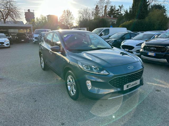 FORD Kuga 1.5 EcoBoost 120 CV 2WD Connect Usato