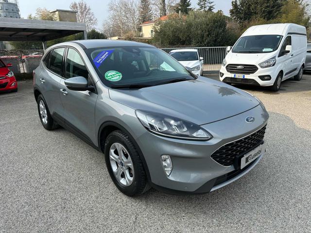 FORD Kuga 1.5 EcoBoost 120 CV 2WD Connect Usato