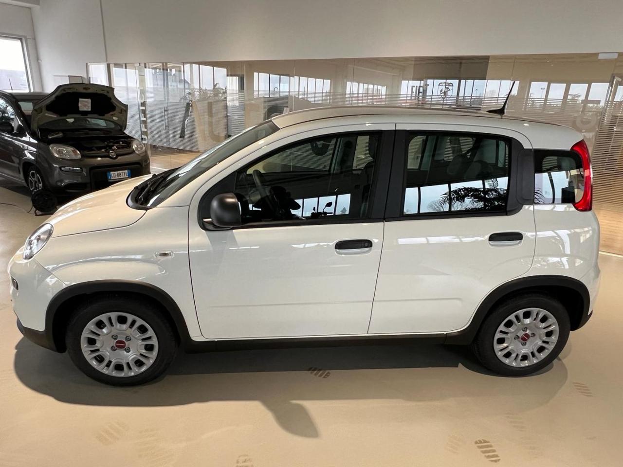 FIAT Panda 1.0 FireFly S&S Hybrid - 3