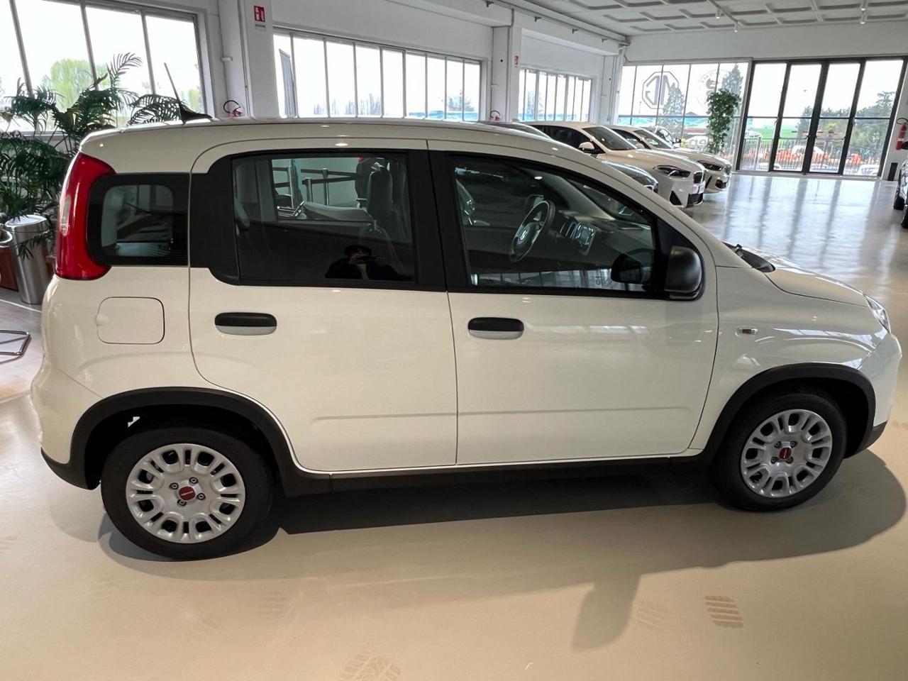 FIAT Panda 1.0 FireFly S&S Hybrid - 7