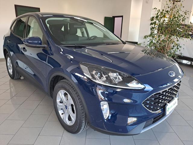 FORD Kuga 1.5 EcoBlue 120 CV 2WD Connect 