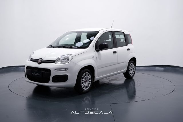 FIAT New Panda 1.2 Easy 4 posti N1 Autocarro della casa 