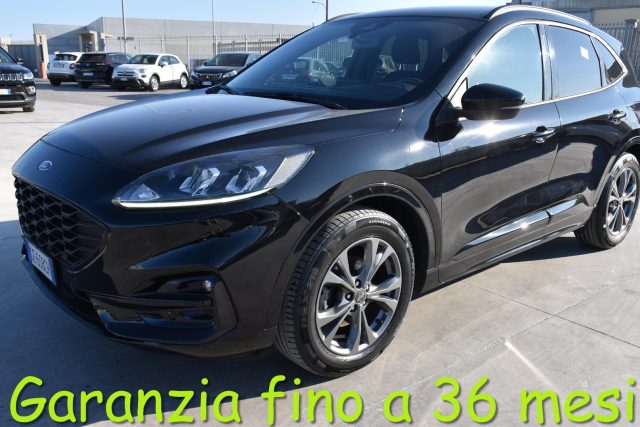 FORD Kuga 1.5 EcoBlue 120 CV aut. 2WD ST-Line 