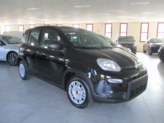 FIAT Panda 1.0 FireFly S&S Hybrid _ KM ZERO 