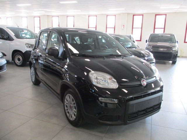 FIAT Panda 1.0 FireFly S&S Hybrid _ KM ZERO 