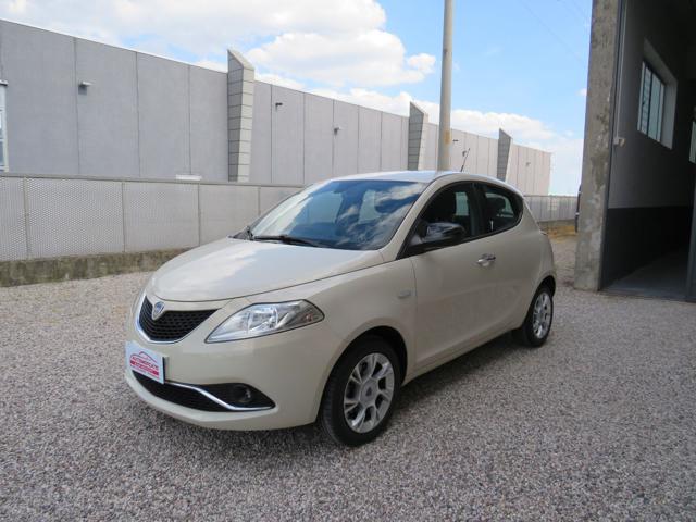 LANCIA Ypsilon 1.3 MJT 16V 95 CV 5 porte S&S Gold 