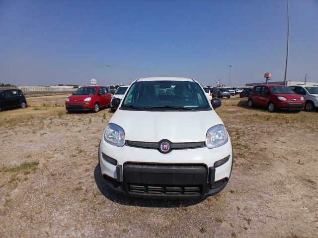 FIAT Panda My23 1.0 70cv Hybrid 