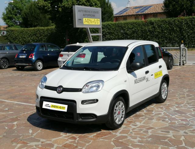 FIAT Panda Bianco Gelato pastello