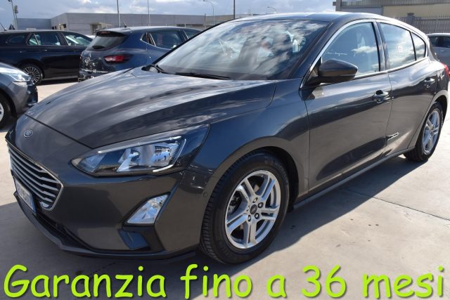 FORD Focus 1.5 EcoBlue 120 CV automatico 5p. Business Co-Pilo 