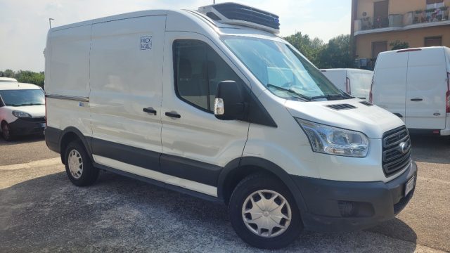 FORD Transit 2.0TDCi EcoBlue 130CV PM-TM L2H2 Frigo FRCX ATP 