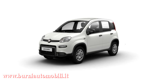 FIAT Panda 1.0 FireFly S&S Hybrid PREZZO VERO 