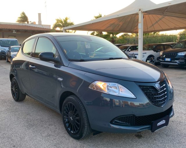 LANCIA Ypsilon 1.2 69 CV 5 porte Elefantino Usato