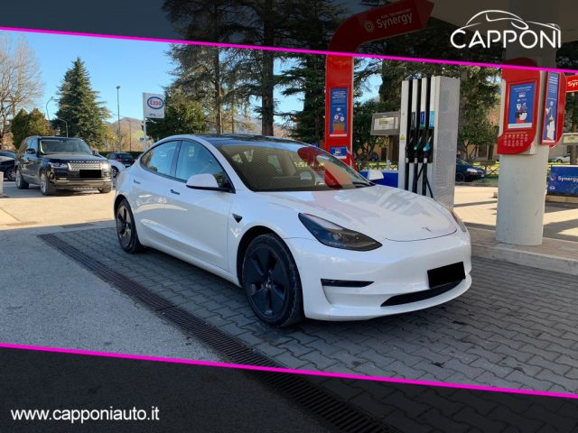 TESLA Model 3 Long Range Dual Motor AWD Pelle/Tetto 