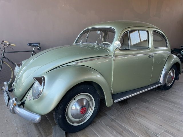 VOLKSWAGEN Maggiolino Ovalino 6V 