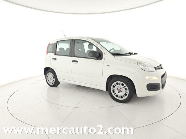 FIAT Panda Bianco pastello