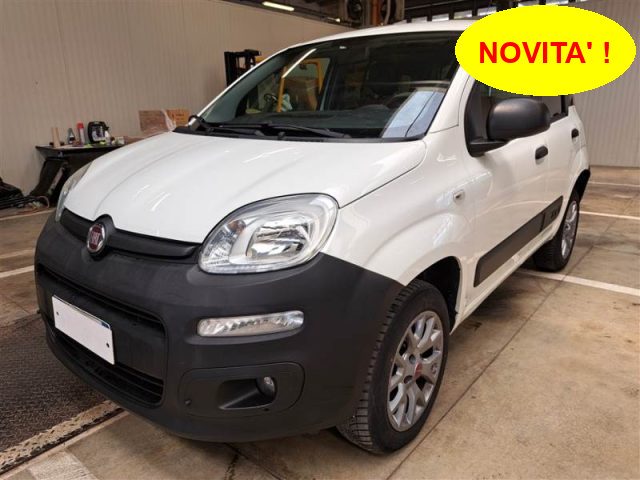 FIAT Panda Bianco pastello