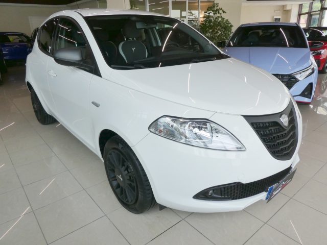 LANCIA Ypsilon 1.2 Elefantino 69 Cv 5 Posti - OK NEOPATENTATI 