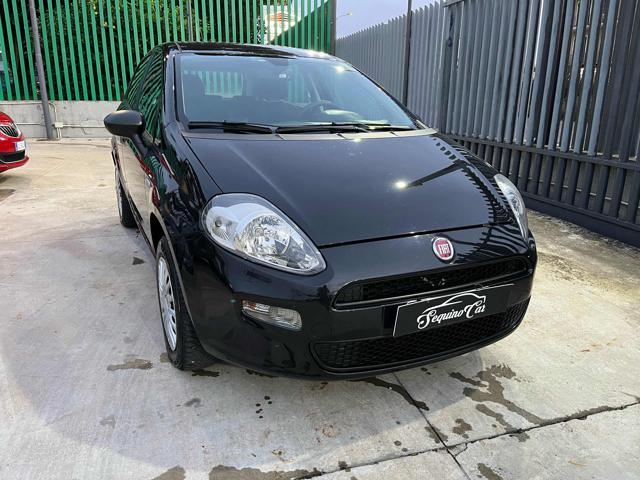 FIAT Punto 1.4 8V 5 porte Natural Power Street Usato