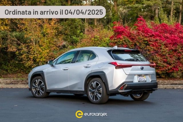 LEXUS UX Full Electric UX 300h 4WD F-Design 