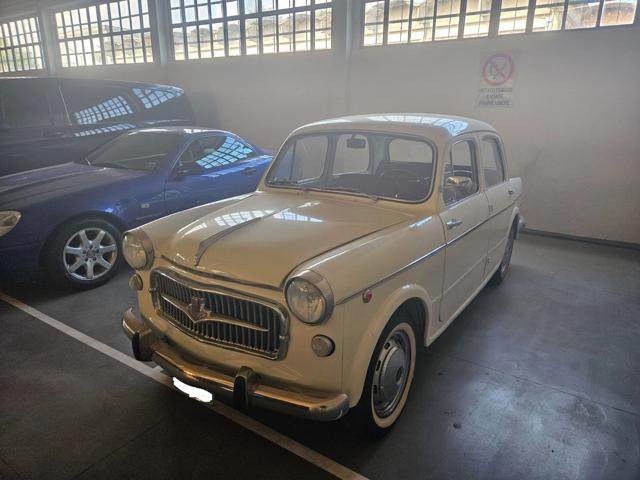 FIAT 1100 Bianco pastello