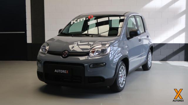 FIAT Panda 1.0 FireFly S&S Hybrid per neopatentati 