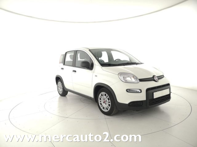 FIAT Panda Bianco pastello