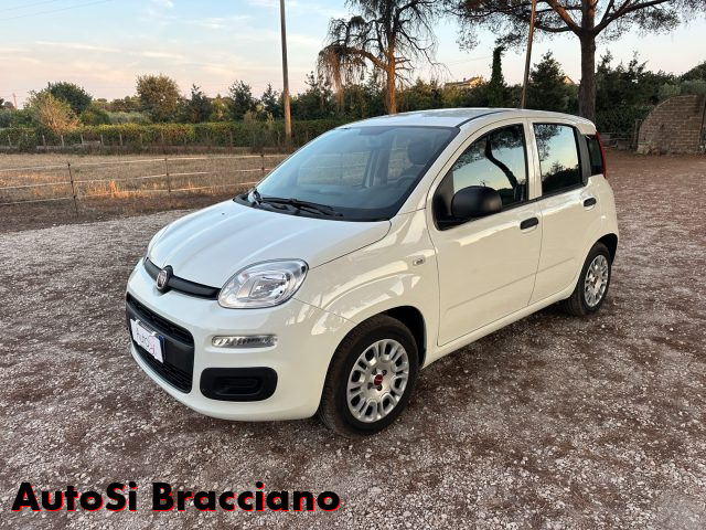 FIAT Panda 1.0 FireFly S&S Hybrid Usato