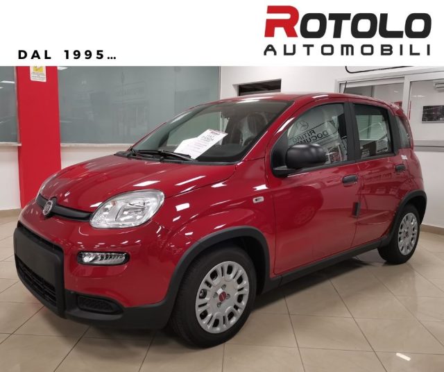 FIAT Panda Rosso pastello