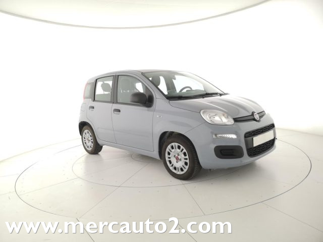 FIAT Panda Grigio pastello