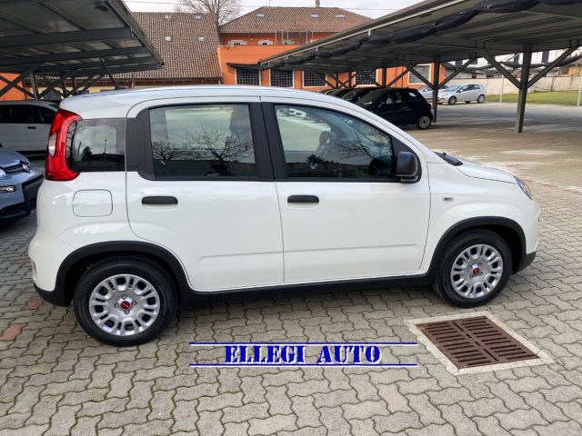 FIAT Panda Bianco extraserie pastello