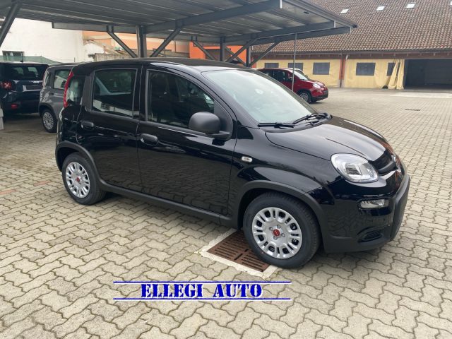 FIAT Panda Nero pastello