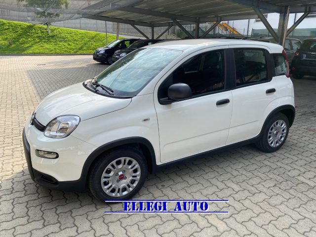 FIAT Panda Bianco extraserie pastello