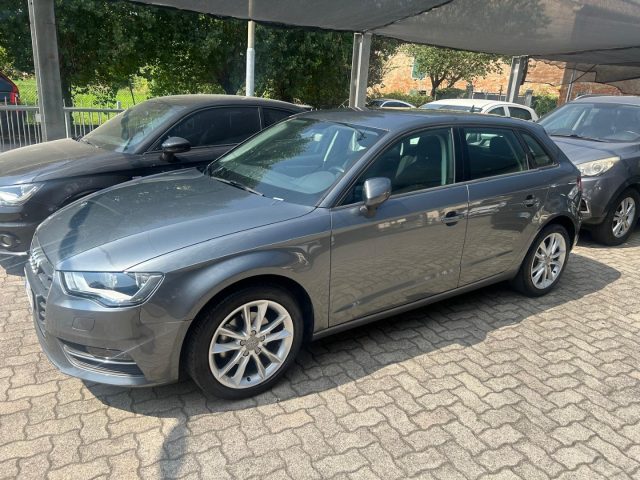 AUDI A3 SPB 1.6 TDI NAVI PDC Usato