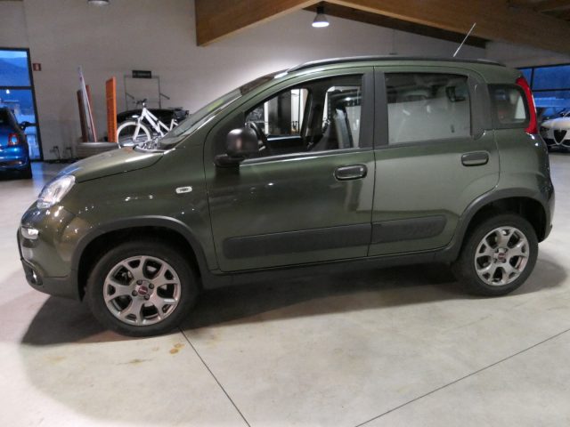 FIAT Panda Grün metallisiert