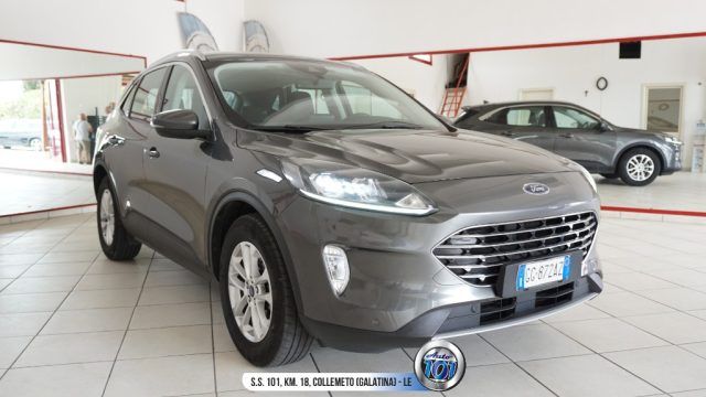 FORD Kuga 1.5 EcoBlue 120 CV aut. 2WD Titanium Business Usato