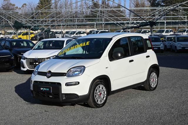 FIAT Panda 1.0 FireFly S&S Hybrid 70cv 5P.TI 