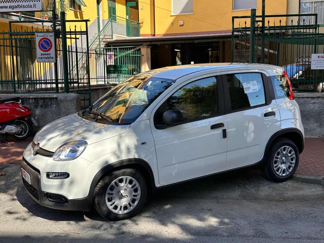 FIAT Panda Bianco pastello