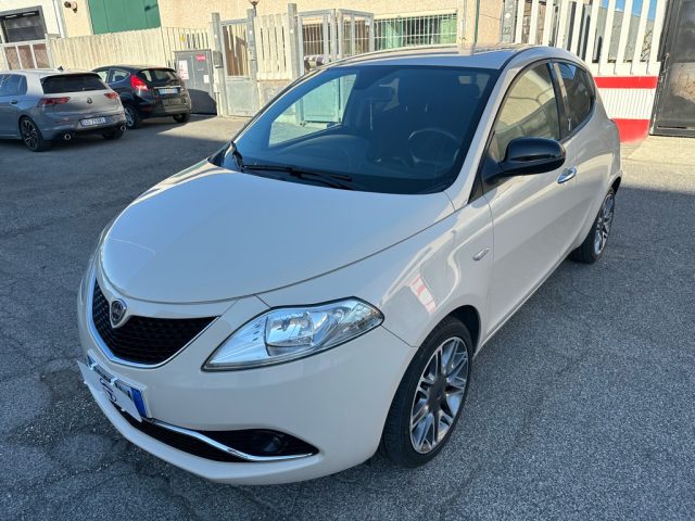 LANCIA Ypsilon 1.2 69 CV 5 porte Platinum Usato