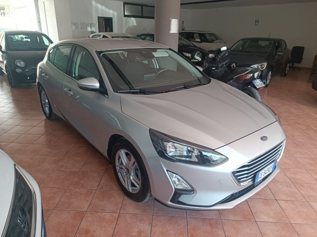 FORD Focus 1.5 EcoBlue 120 CV 5p. Business Usato