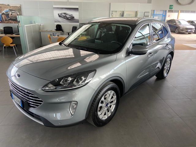 FORD Kuga 1.5 EcoBlue 120 CV 2WD Titanium 