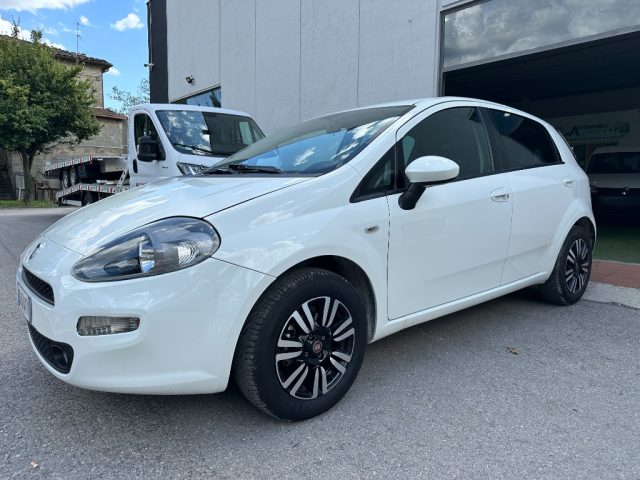 FIAT Punto 1.4 8V 5 porte GPL Young Usato