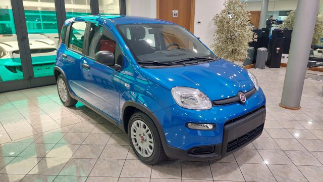 FIAT Panda Blu Italia metallizzato