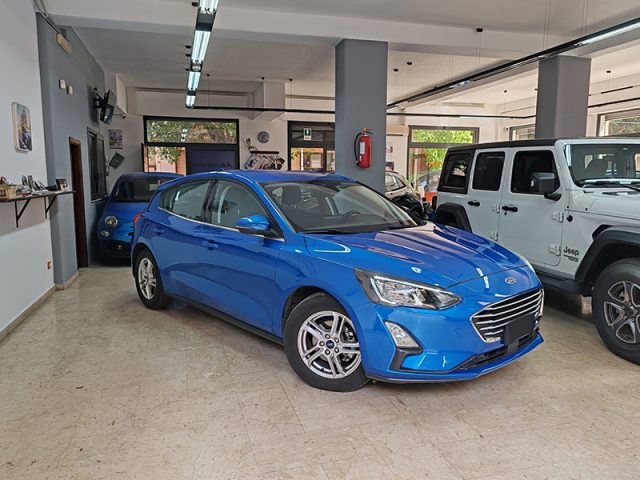 FORD Focus 1.5 EcoBlue 95 CV 5p. Business 