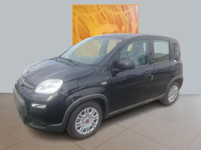 FIAT Panda 1.0 S&S Hybrid 70cv MY24 