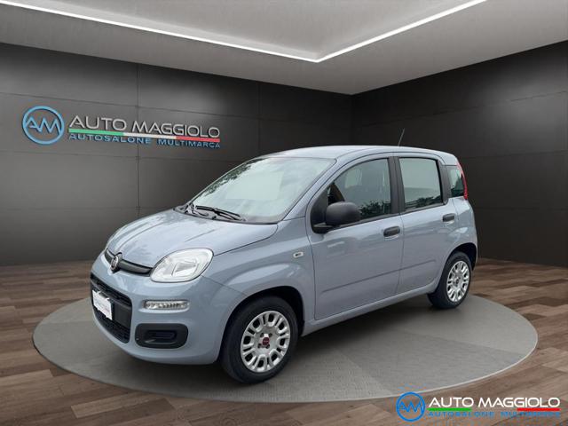 FIAT Panda 1.2 Benzina 69CV Mod. Easy NEO PATENTATI 