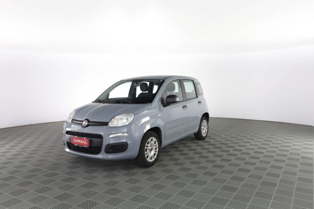 FIAT Panda Panda 1.2 Easy Usato