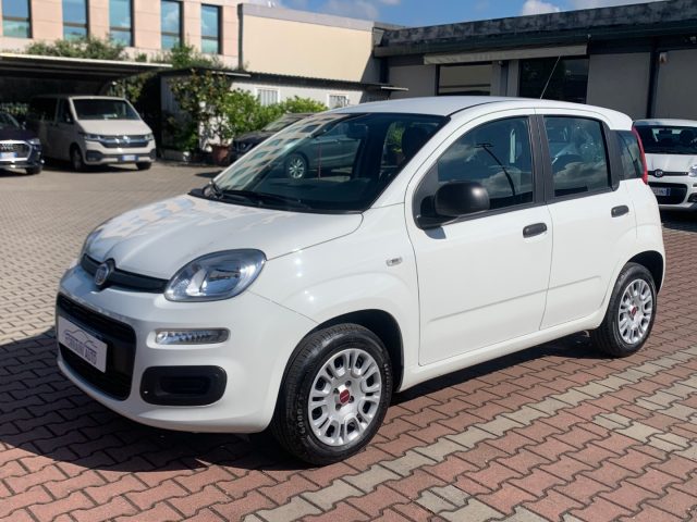 FIAT New Panda 1.2  S.&S.  E6D-TEMP EASY 5 POSTI GUIDABILE NEOPA 