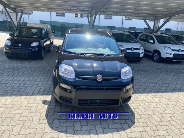 FIAT Panda 1.0 FireFly S&S Hybrid MY 24 KM 0 