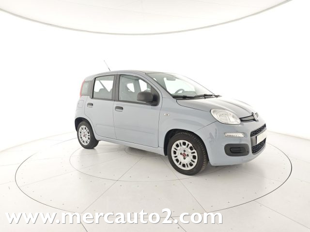 FIAT Panda Grigio pastello