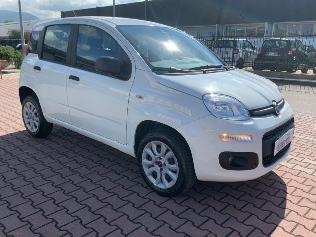 FIAT New Panda 0.9 TwinAir Natural Power EASY GUIDABILE NEOPAT. 